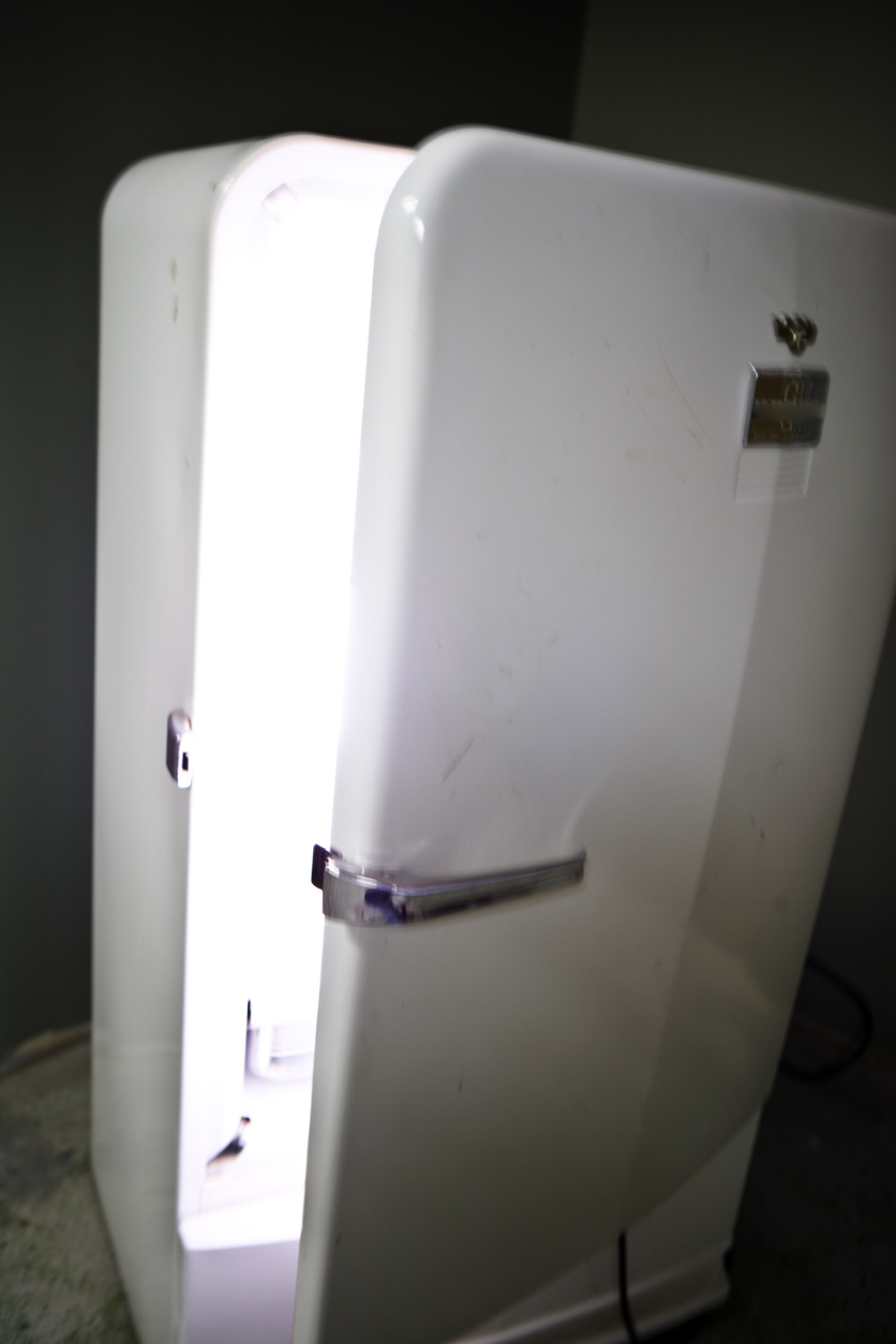 More information about "The Refrigerator Light - explaining intermittent diagnostics"